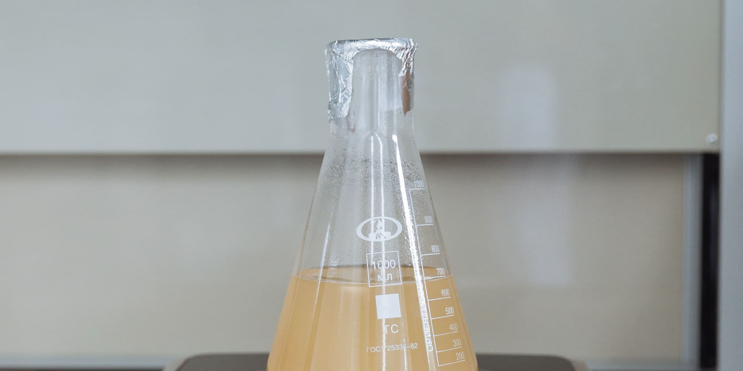 Erlenmeyer flask on a magnetic stirrer